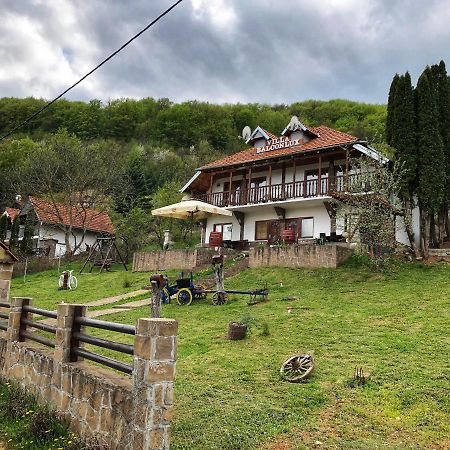 Villa Balconlux - Zavojsko Jezero, Пірот Екстер'єр фото