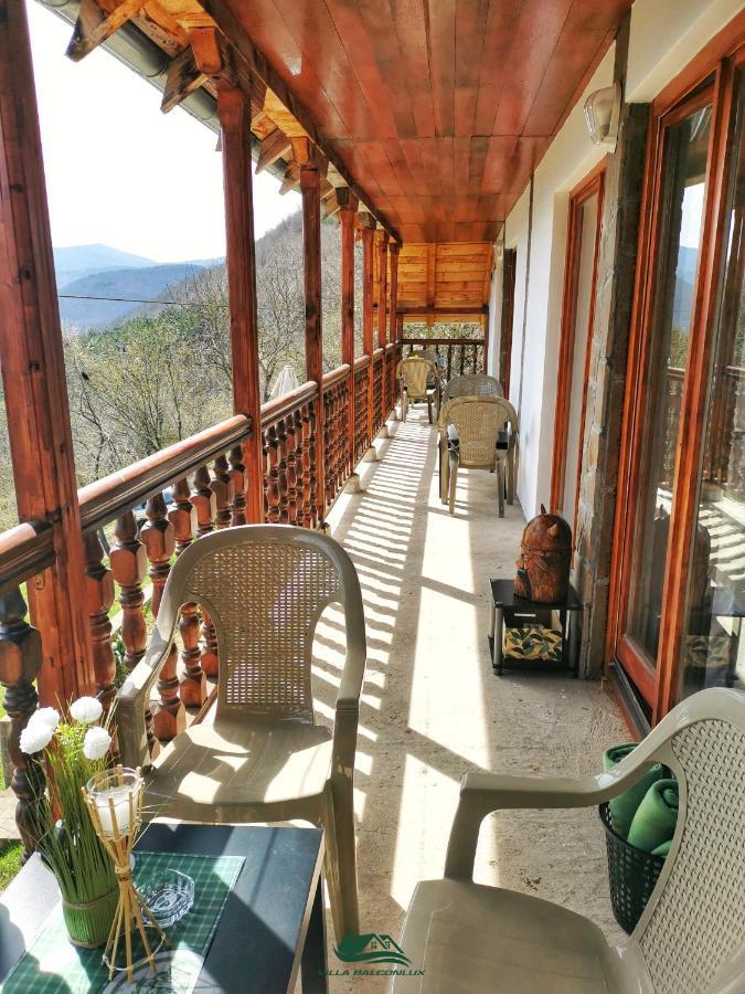 Villa Balconlux - Zavojsko Jezero, Пірот Екстер'єр фото