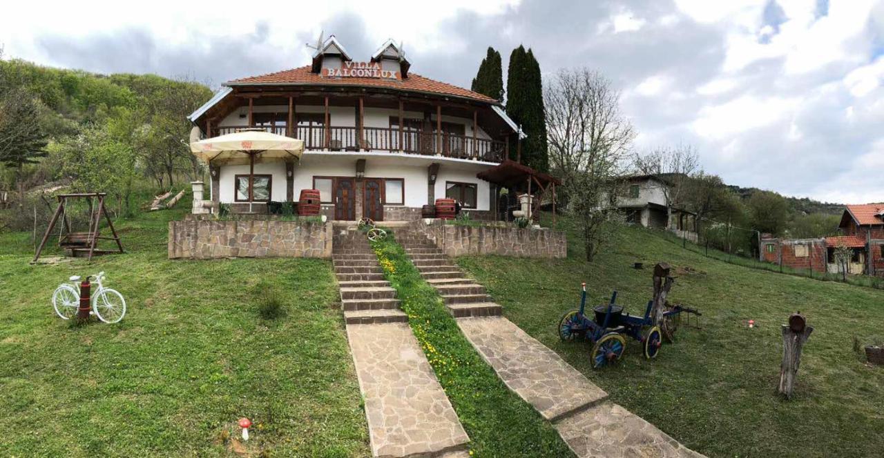 Villa Balconlux - Zavojsko Jezero, Пірот Екстер'єр фото