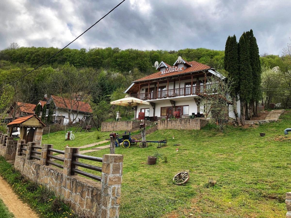 Villa Balconlux - Zavojsko Jezero, Пірот Екстер'єр фото